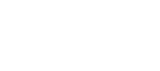 BENLI Gruppe